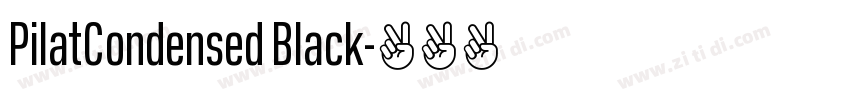 PilatCondensed Black字体转换
